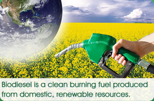 Biodiesel, Konsumsinya Naik 100% pada Oktober 2013